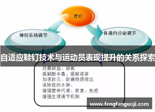 自适应鞋钉技术与运动员表现提升的关系探索